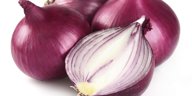 Onion Juice:A Remedy to Minimise Hair Loss and Facilitate Hair Growth